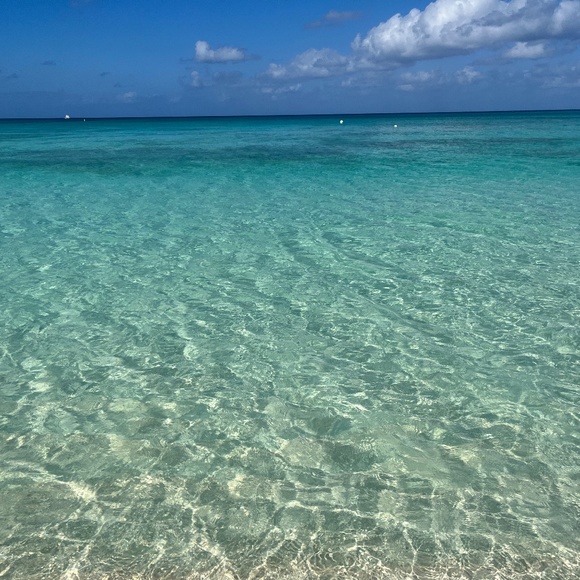 Meet your Posher, Takano - Picture 1 of 1